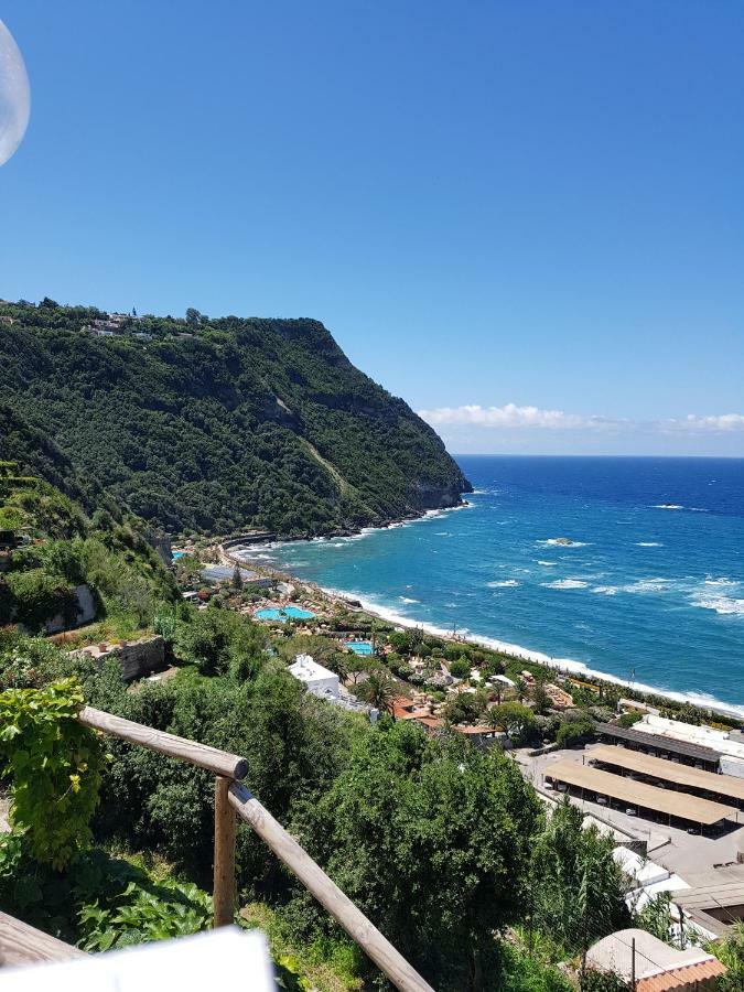 Appartamenti Su Piazza Matteotti Forio Centralissimi Exterior photo